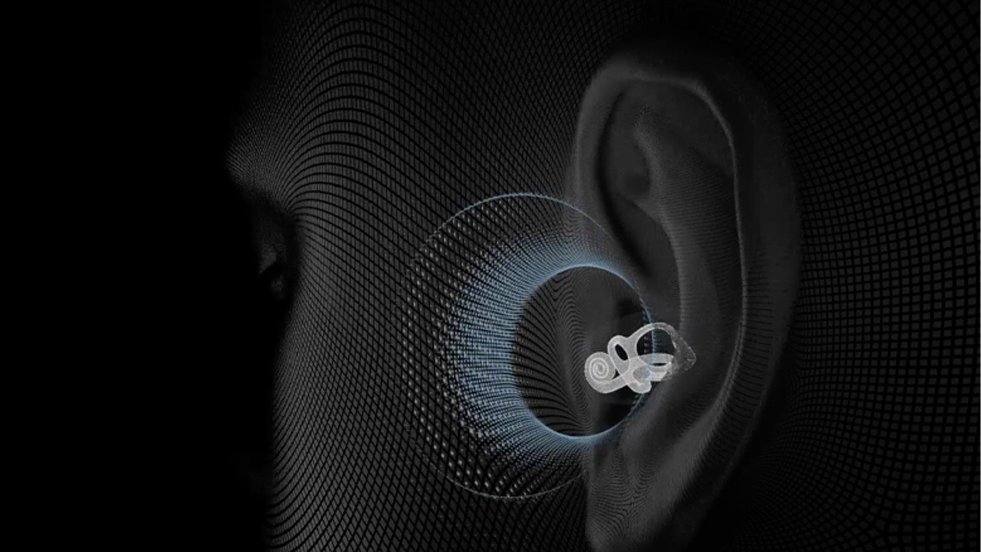 Il potere della conduzione ossea | SHOKZ [senza fine]