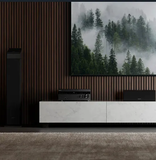 Interni con parete a listelli verticali marroni, mobile bianco e quadro di foresta nebbiosa. Speaker nero a sinistra.