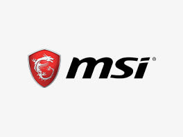 MSI