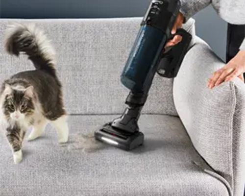 Gatto accanto a persona che aspira peli da un divano grigio con aspirapolvere nero. Lo sfondo è blu.