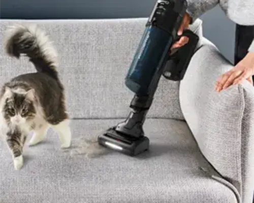 Gatto accanto a persona che aspira peli da un divano grigio con aspirapolvere nero. Lo sfondo è blu.