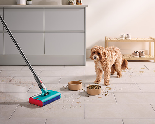 Cane vicino a ciotole di cibo sparse sul pavimento piastrellato. Una scopa a vapore � accanto alle ciotole. Armadietto e scarpiera sullo sfondo.