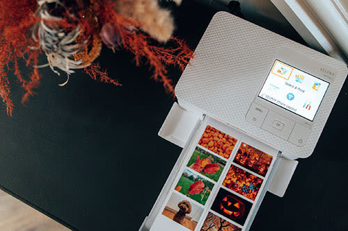 canon selphy cp1500