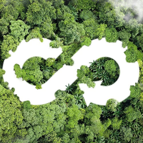 Simbolo bianco di economia circolare su sfondo di verde vegetazione varia.