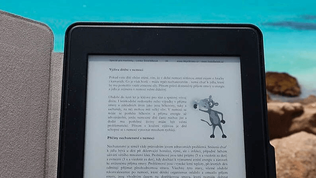 E-reader met tekst en tekening van een dier, op een rotsachtige ondergrond met blauw water op de achtergrond.