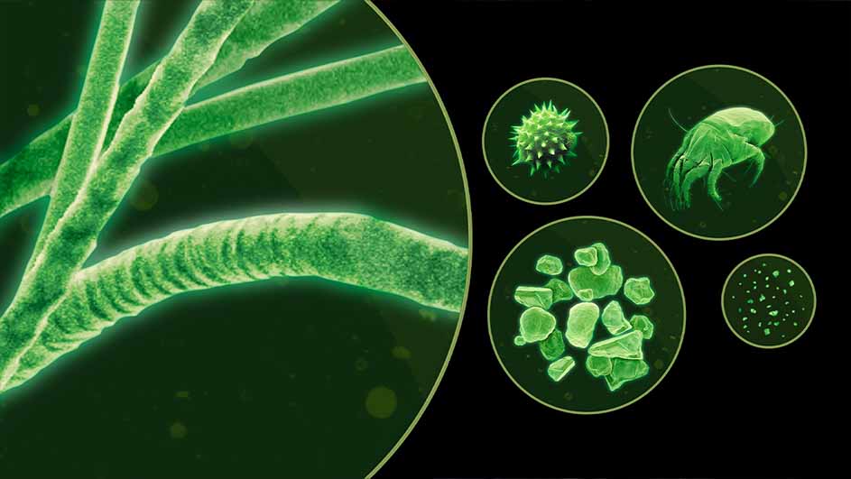 Groene vezels en microscopische beelden van een huisstofmijt, pollen, huidschilfers en stofmijtuitwerpselen op een zwarte achtergrond.