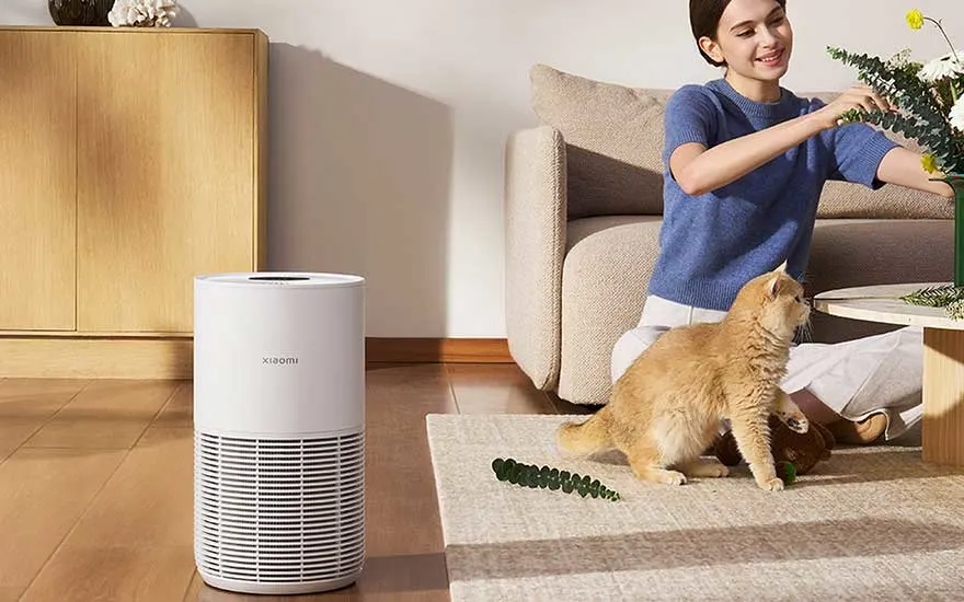 A woman arranges flowers by the sofa as a white Xiaomi air purifier stands on the wooden floor, while her curious cat speelt naast het kleed.