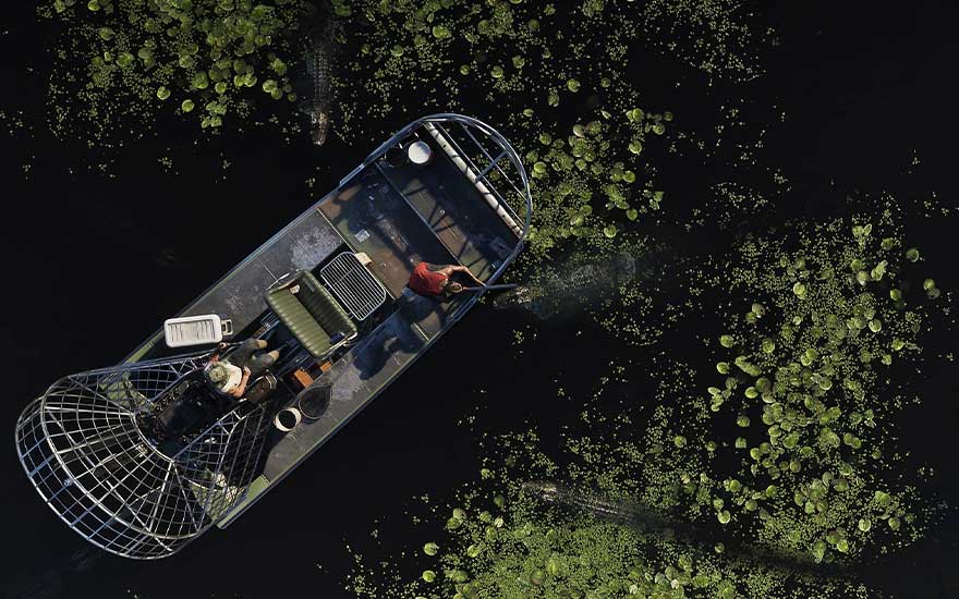 Top-down view of a swamp airboat gliding through dark water and green patches, three people exploring the wetlands.