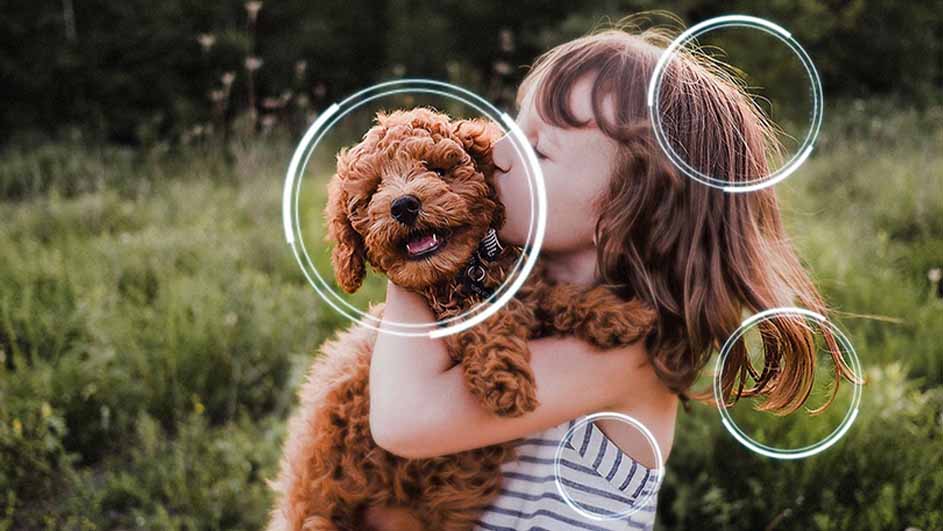 Een kind omhelst een bruine poedel in een groene omgeving. Het kind draagt een gestreepte top.