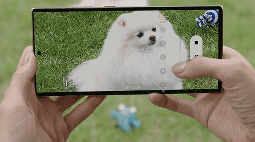 Twee handen houden een telefoon vast die een witte hond op gras toont, met een blauw speeltje op de achtergrond.
