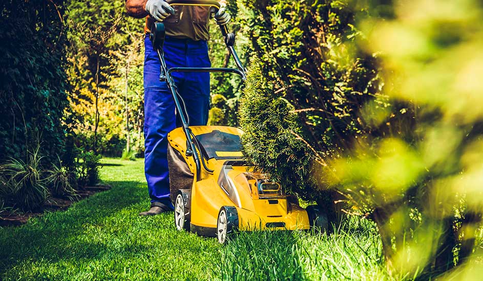 Een persoon maait het gras met een gele grasmaaier in een groene tuin. Het merk van de grasmaaier is niet zichtbaar in de foto.