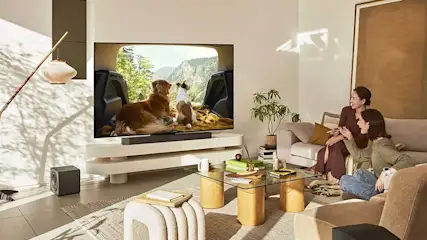 Two women watch a TV showing two dogs in a car, in a cozy living room with modern interior.