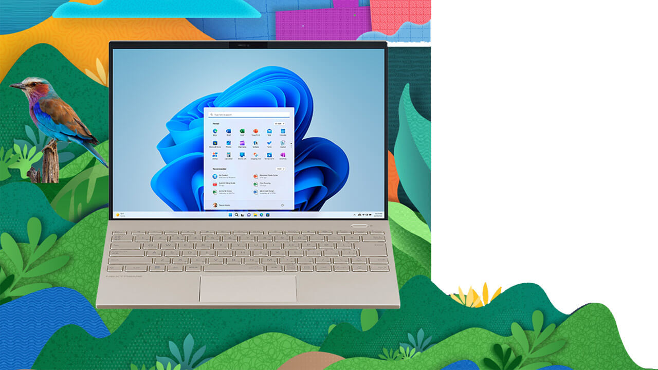 Laptop met Windows 11 op een kleurrijke achtergrond met illustraties van een vogel en groen landschap.