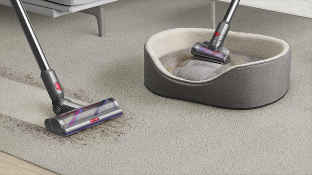 Een grijze stofzuiger maakt een lichtgrijs tapijt schoon naast een hondenmand met een grijze voering.