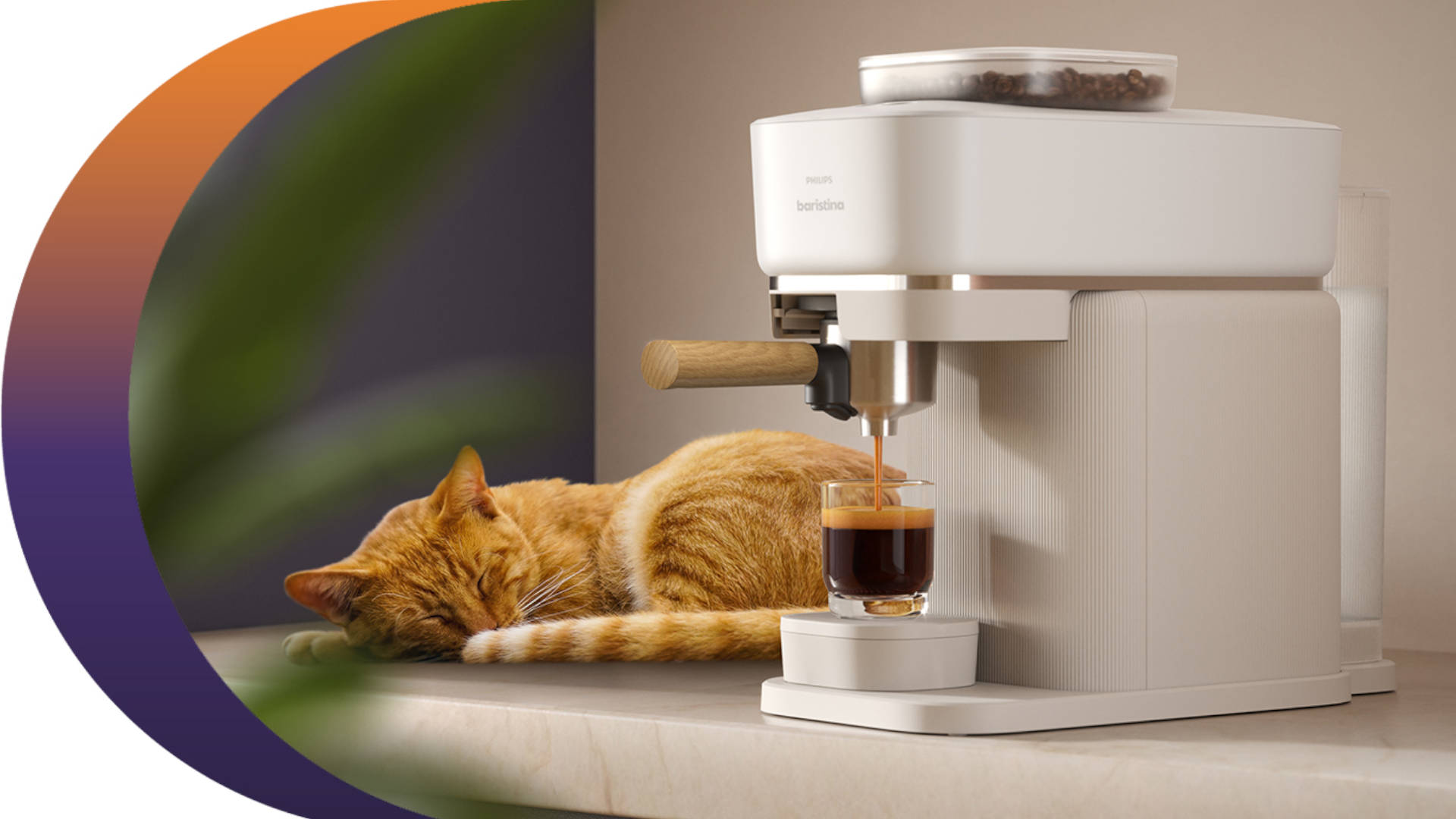 Een oranje kat ligt naast een koffiemachine waaruit koffie in een glas stroomt.