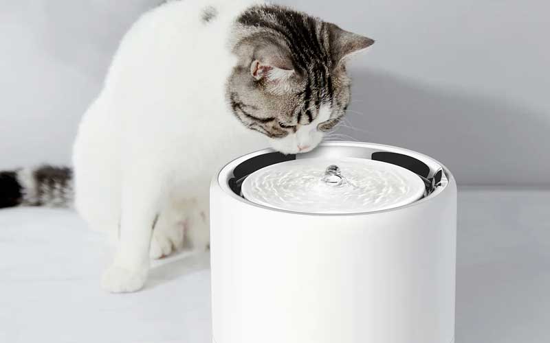 Kat drinkt uit een moderne, witte drinkfontein met borrelend water.