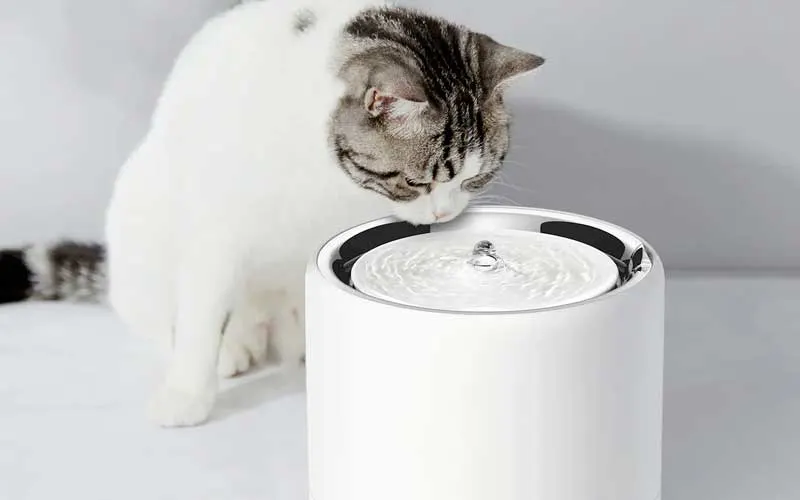 Kat drinkt uit een moderne, witte drinkfontein met borrelend water.