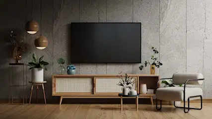 Woonkamer met houten vloer, betonnen muur, tv, dressoir, planten, lampen en een grijze stoel met zwart frame.