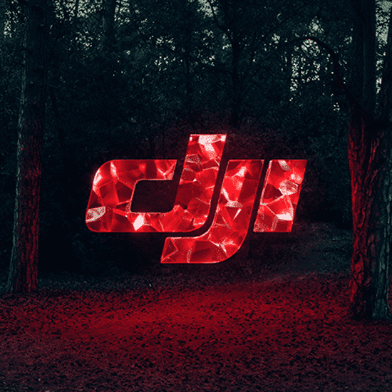 Rood DJI-logo in een bos. Bomen staan aan de zijkanten en de grond is bedekt met bladeren.