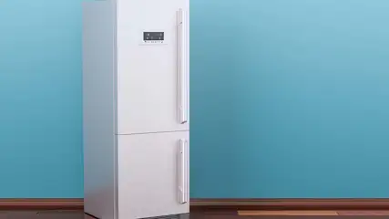 Een witte koelkast met twee deuren staat tegen een blauwe muur met een houten vloer eronder.