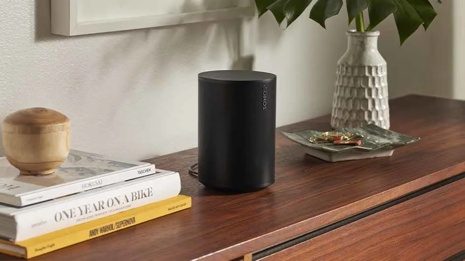 Een donkere Sonos-luidspreker staat op een houten dressoir, naast boeken, een houten doosje, een vaas met planten en een klein schaaltje.