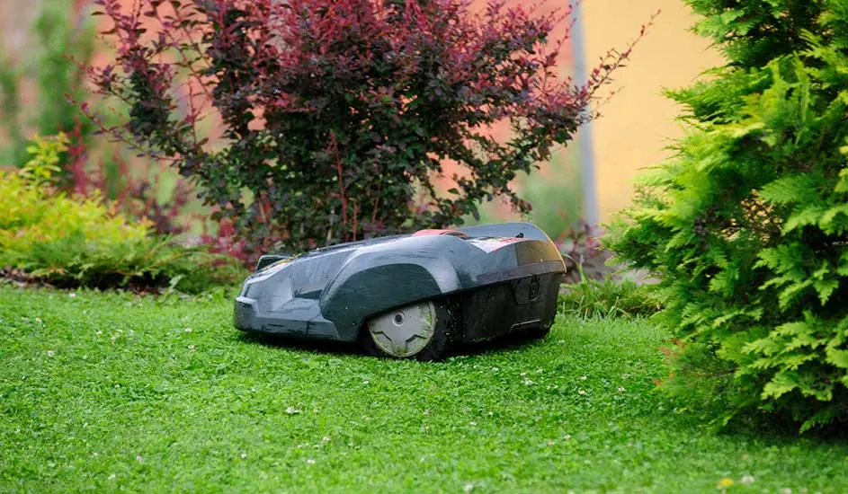 Op het gras rijdt een automatische robotmaaier zonder zichtbare merknaam zelfstandig tussen de struiken in een goed verzorgde tuin.