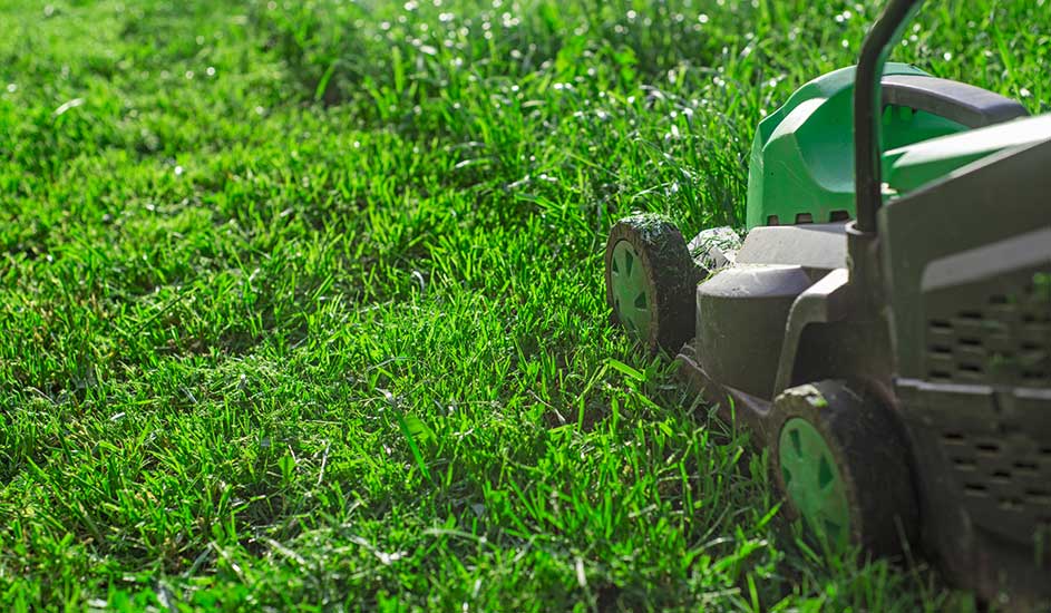 Een groene grasmaaier maait het gras in een zonnige tuin. Het merk van de grasmaaier is niet zichtbaar op de foto.