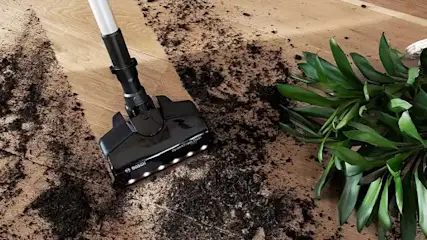 Een zwarte stofzuiger zuigt aarde op van een houten vloer naast een groene plant.