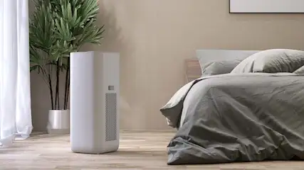 Lichte slaapkamer met een grijs bed, witte gordijnen, een plant in een zilveren pot en een witte luchtreiniger.
