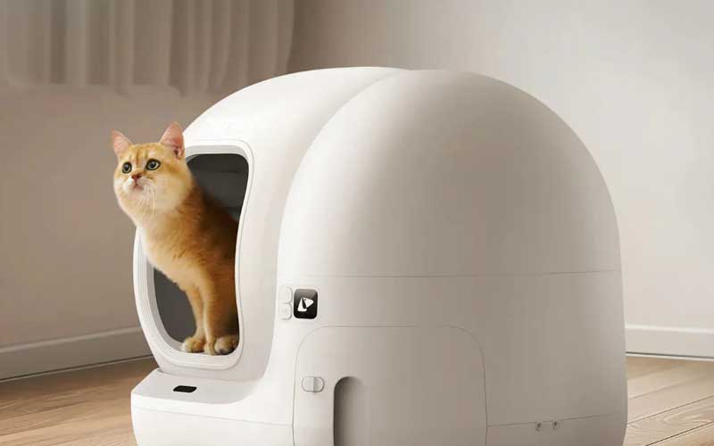 Oranje kat kijkt naar buiten vanuit een witte, automatische kattenbak.