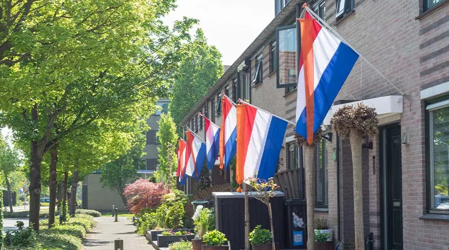 Rode, witte en blauwe vlaggen hangen aan huizen langs een stoep met bomen.