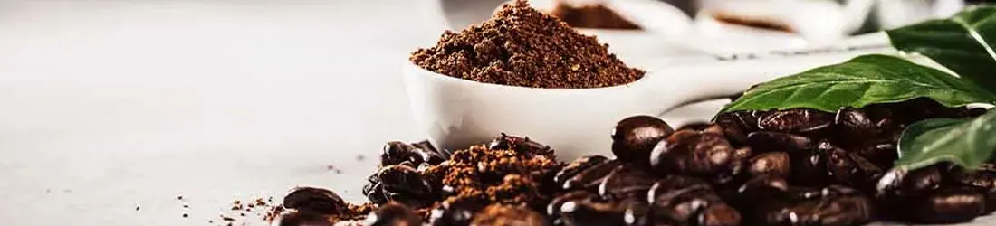 Freshly ground coffee in a white spoon, surrounded by dark coffee beans and green leaves on a light surface.