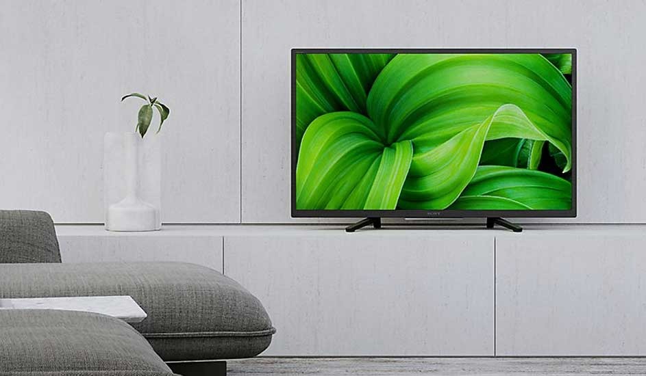 A Sony TV displays a vivid green leaf close-up in a minimalist living room with grey furniture and a white vase, creating a calm, modern atmosphere. Brand: Sony.