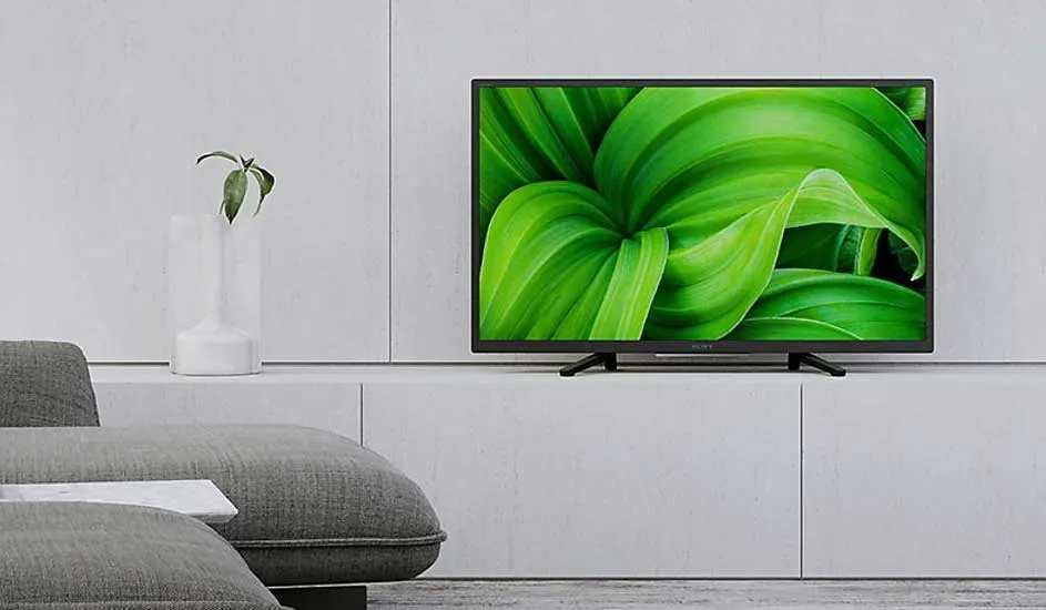 A Sony TV displays a vivid green leaf close-up in a minimalist living room with grey furniture and a white vase, creating a calm, modern atmosphere. Brand: Sony.