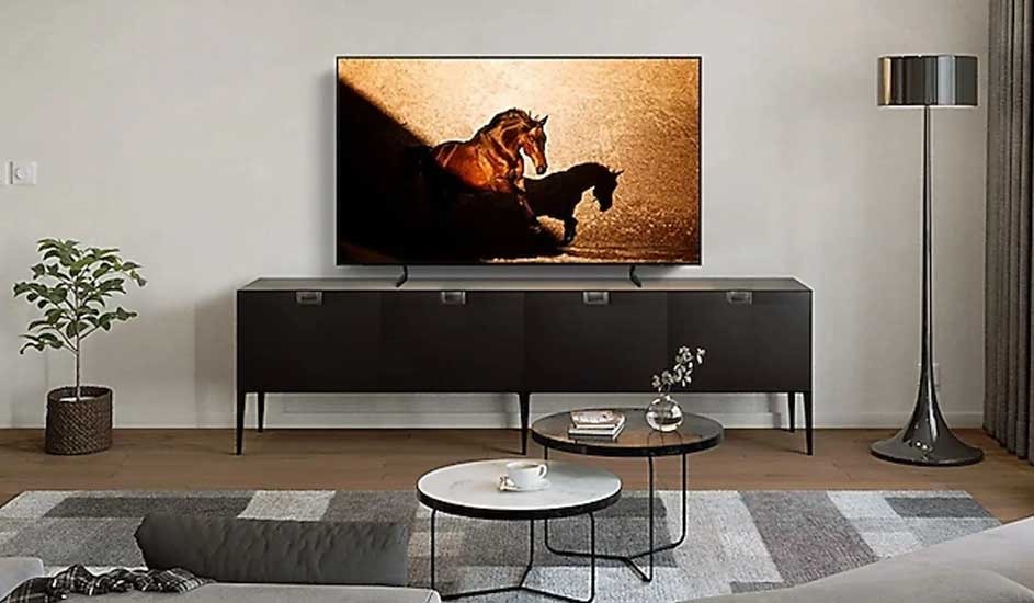 A Samsung TV on a sleek black cabinet displays running horses; modern tables, a floor lamp, a plant and a grey rug complete the living room. Brand: Samsung.