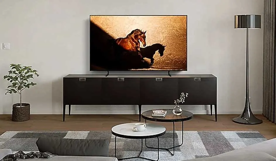Een moderne woonkamer met een grote tv op een zwart tv-meubel, een vloerlamp, plant, salontafels en een kleed op de houten vloer.