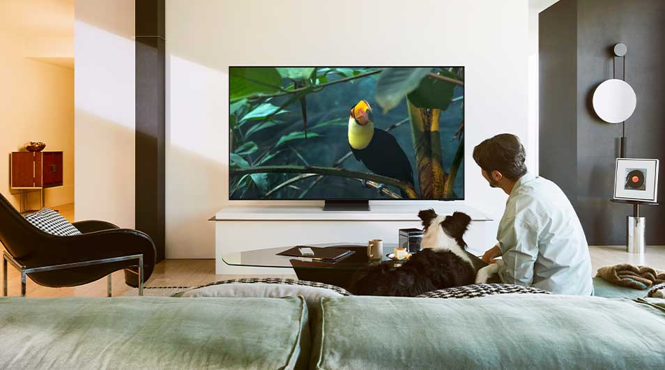 Een man en een hond kijken samen naar een tv met levendige natuurbeelden in een gezellig, eigentijds ingerichte woonkamer.