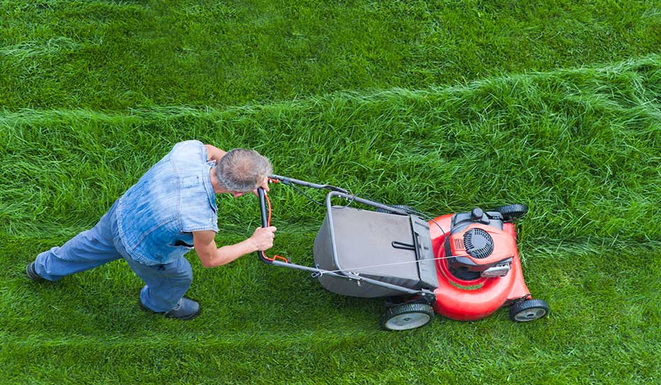 Een man maait het gras met een rode grasmaaier in een groene tuin. Het merk van de grasmaaier is niet zichtbaar op de afbeelding.