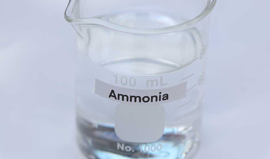 A glass measuring beaker holds a clear liquid, with the label ‘Ammonia’ clearly visible on the front.