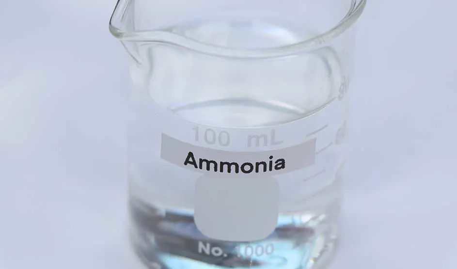 Een glazen maatbeker bevat een heldere vloeistof met het etiket ‘Ammonia’ duidelijk zichtbaar op de voorkant.