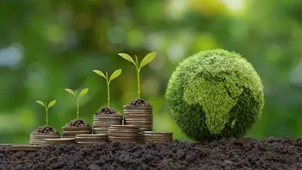 Stapels munten met plantjes ernaast en een groene bol met een kaart, op aarde, tegen een groene achtergrond.