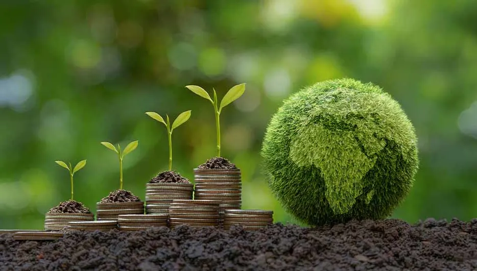 Stapels munten met plantjes ernaast en een groene bol met een kaart, op aarde, tegen een groene achtergrond.
