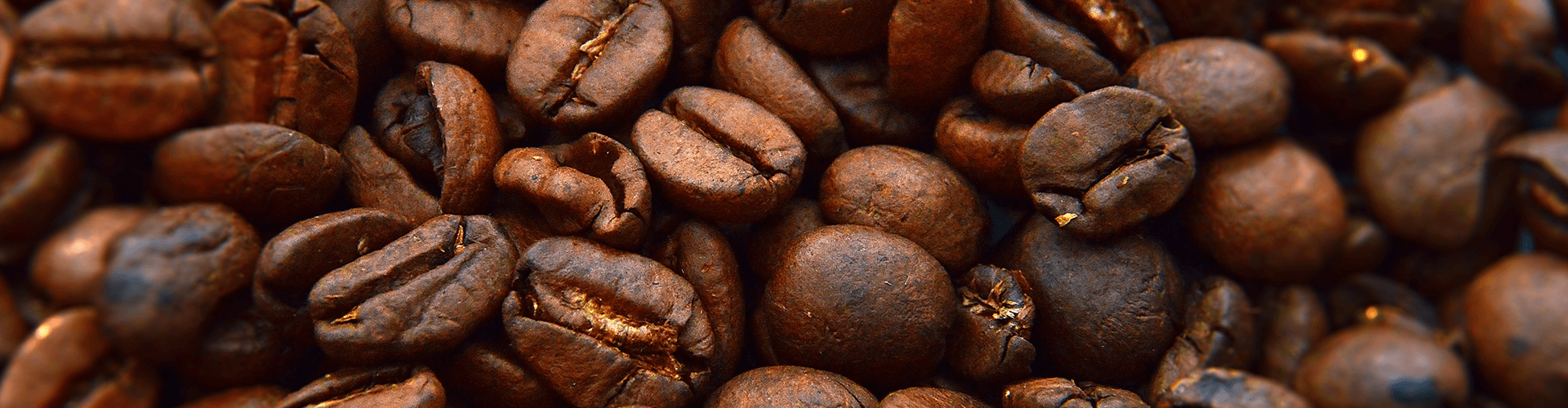 verachten boog Besmettelijk Koffiemachine bonen kopen? | MediaMarkt