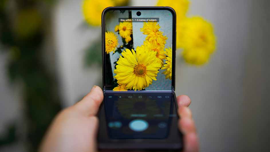 Handen houden een zwarte telefoon met een scherm dat gele bloemen weergeeft. Gele bloemen in de achtergrond.