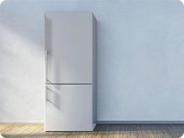 Choosing a freestanding refrigerator: we will help you