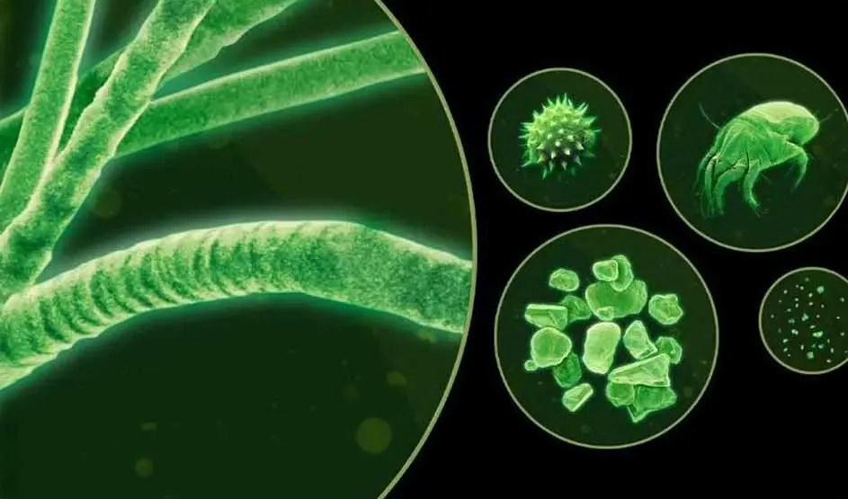 Groene microscopische close-up toont vezels, pollen, mijt en stofdeeltjes in ronde kaders op zwarte achtergrond, alsof je door een microscoop kijkt.