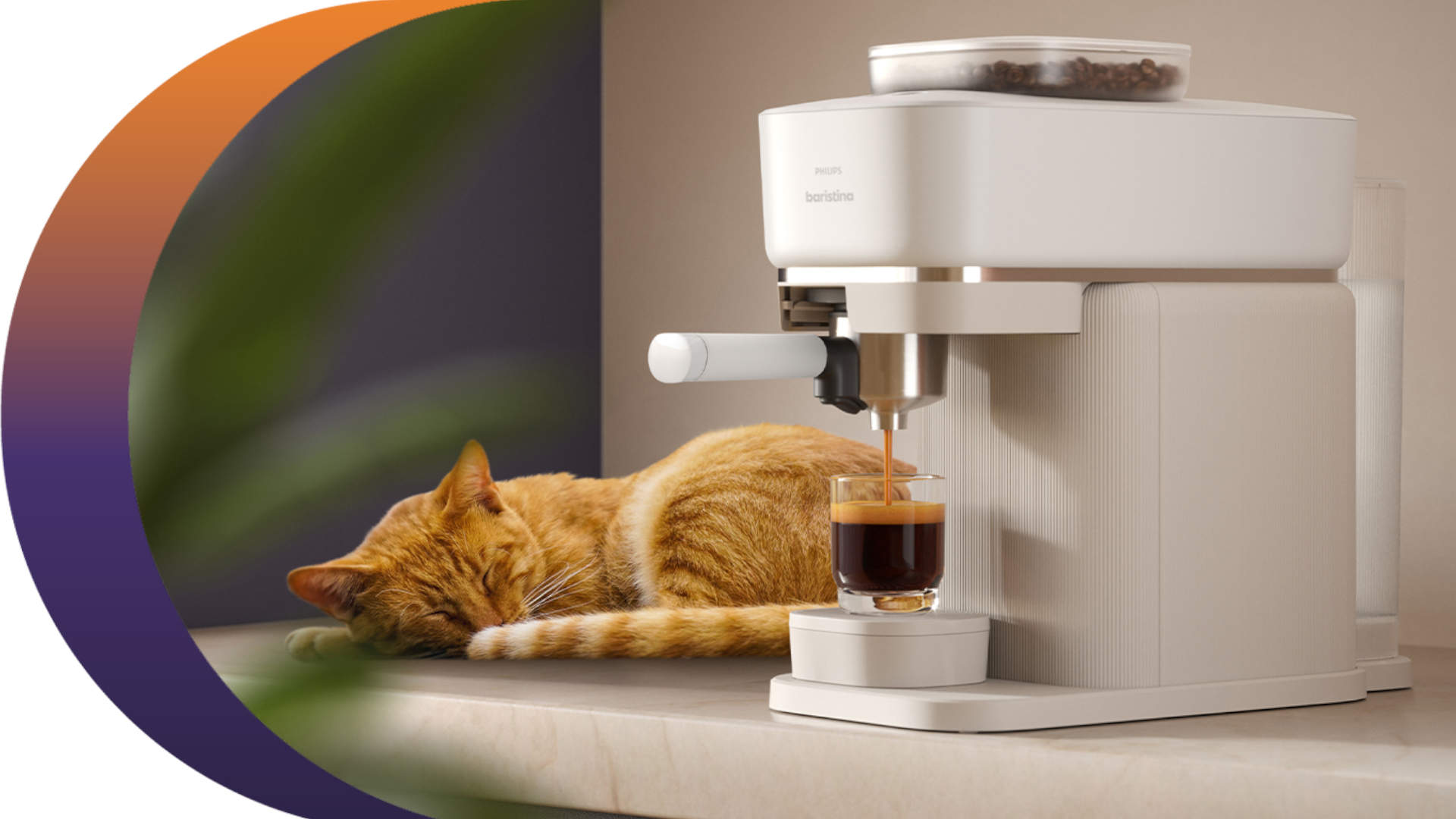 Oranje kat slaapt naast een wit koffiezetapparaat dat koffie zet in een glas.