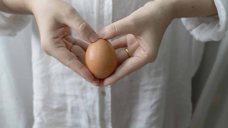Twee handen houden een bruin ei vast tegen een achtergrond van een wit overhemd met knopen.