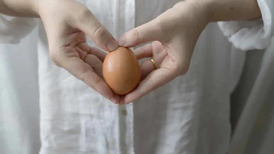Twee handen houden een bruin ei vast tegen een achtergrond van een wit overhemd met knopen.