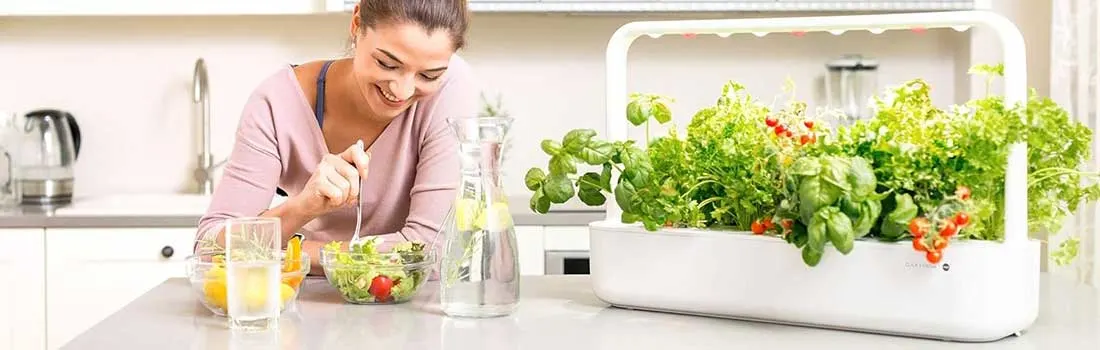 A modern kitchen featuring a smart garden full of fresh herbs and vegetables. A person prepares a salad using ingredients from the garden.